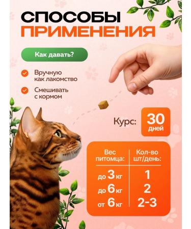 RedDog Multivitamins - Cat treats 8 in 1 - Buy Online on GoSupps.com