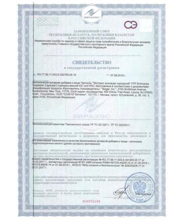 Solgar Echinacea Echinacea Purple 100 pcs. capsules-2 pcs - Buy Online on GoSupps.com