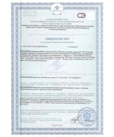 Solgar Echinacea Echinacea Purple 100 pcs. capsules-2 pcs - Buy Online on GoSupps.com