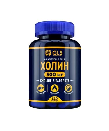 GLS pharmaceuticals Choline 120 capsules -2 pcs