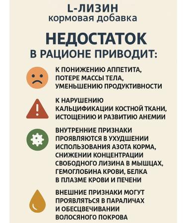 Zagotovki Shop L - lysine 98.5% monohydrochloride of amino acid 1 kg - Buy Online on GoSupps.com