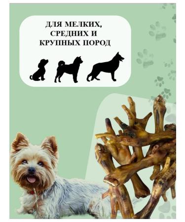 PurtNik Animal treats paws of chicken dried - Buy Online on GoSupps.com
