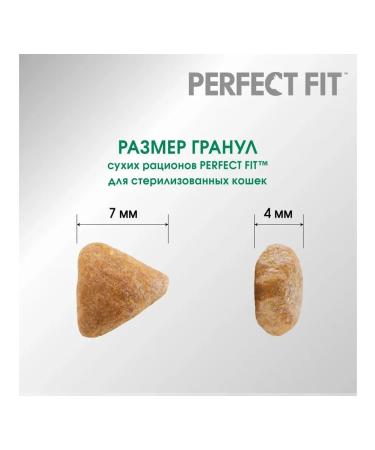 PERFECT FIT Dry food for sterilized cats 650 g - Buy Online on GoSupps.com
