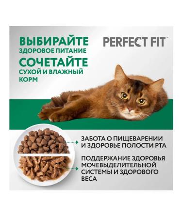PERFECT FIT Dry food for sterilized cats 650 g - Buy Online on GoSupps.com