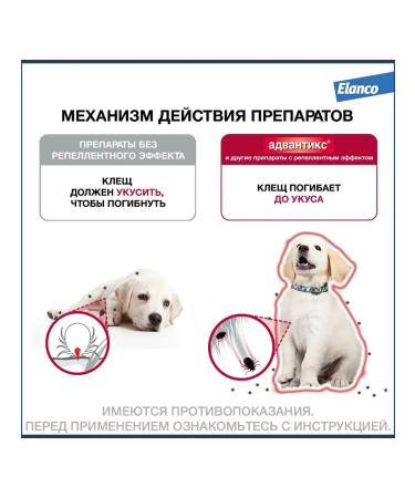 Elanco Advantiks for dogs weighing  - Buy Online on GoSupps.com