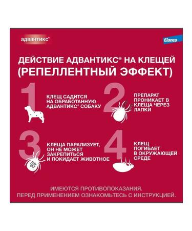 Elanco Advantiks for dogs weighing 10 to 25 kg packaging 1 pipette - Buy Online on GoSupps.com