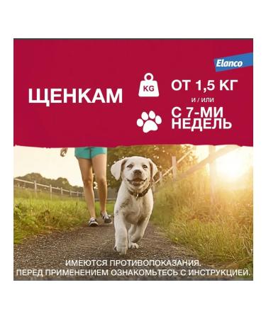 Elanco Advantiks for dogs weighing 10 to 25 kg packaging 1 pipette - Buy Online on GoSupps.com