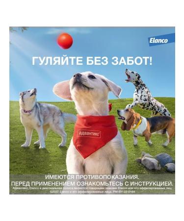 Elanco Advantiks for dogs weighing 10 to 25 kg packaging 1 pipette - Buy Online on GoSupps.com