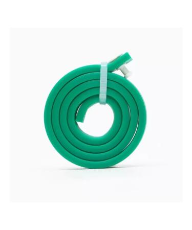 Dude Bio -cheese from parasites for dogs and cats green - Buy Online on GoSupps.com