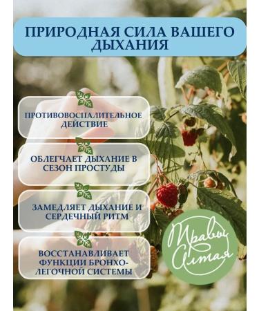 Altay Seligor Free breathing broncho-Legal 3 pcs - Buy Online on GoSupps.com