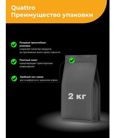 QUATTRO Feed kittens American short -haired turkey 2kg - Buy Online on GoSupps.com