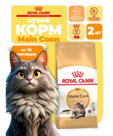 ROYAL CANIN Dry food for the breed Maine Coon (Main Kun) 2 kg