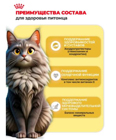 ROYAL CANIN Dry food for the breed Maine Coon (Main Kun) 2 kg - Buy Online on GoSupps.com