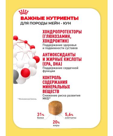 ROYAL CANIN Dry food for the breed Maine Coon (Main Kun) 2 kg - Buy Online on GoSupps.com