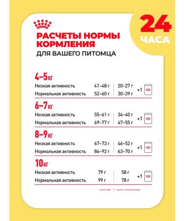 ROYAL CANIN Dry food for the breed Maine Coon (Main Kun) 2 kg - Buy Online on GoSupps.com