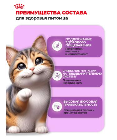 ROYAL CANIN Cat food with sensitive digestion Sensible 2 kg - Buy Online on GoSupps.com