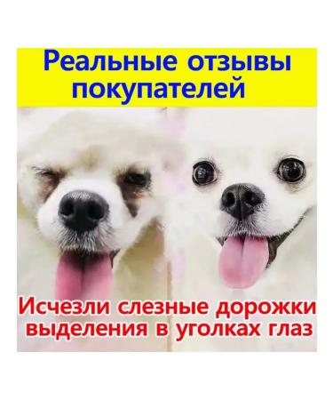 Eye drops for cats and dogs with conjunctivitis 8 ml - Buy Online on GoSupps.com