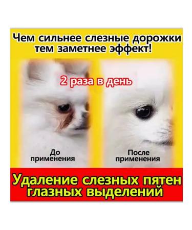 Eye drops for cats and dogs with conjunctivitis 8 ml - Buy Online on GoSupps.com