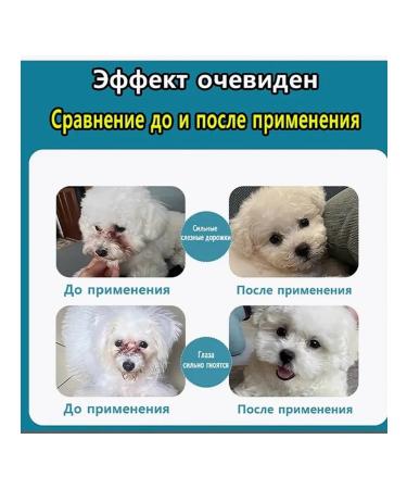 Eye drops for cats and dogs with conjunctivitis 8 ml - Buy Online on GoSupps.com