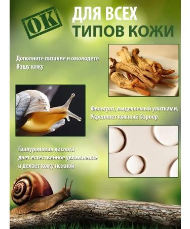 sadoer Basis for makeup and VB cream - Buy Online on GoSupps.com