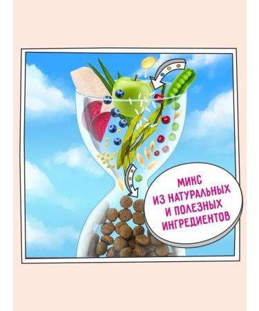 Zillii Dry food for Dry 8 kg - Buy Online on GoSupps.com