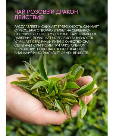 Teaforia Chinese pink dragon tea - Buy Online on GoSupps.com