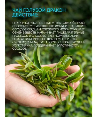 Teaforia Tea Chinese blue dragon - Buy Online on GoSupps.com