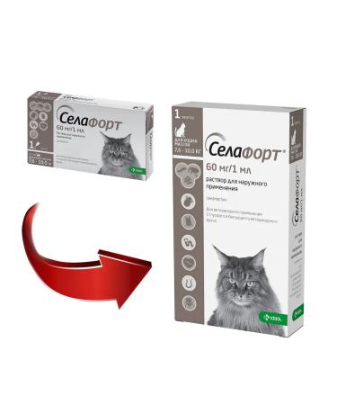 KRKA Sealess Dreams from Blox of Bloches for Cats 7.6 - 10 kg - Buy Online on GoSupps.com