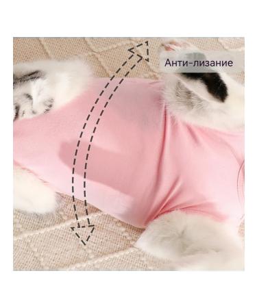 Popon for cats postoperative - Buy Online on GoSupps.com