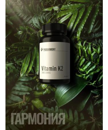 PROHARMONY Vitamin K2 MK-7 (Menakhinon-7) 120 g 60 capsules - Buy Online on GoSupps.com