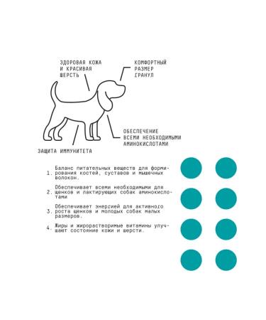 AJO Dry food for dog dogs 2kg - Buy Online on GoSupps.com