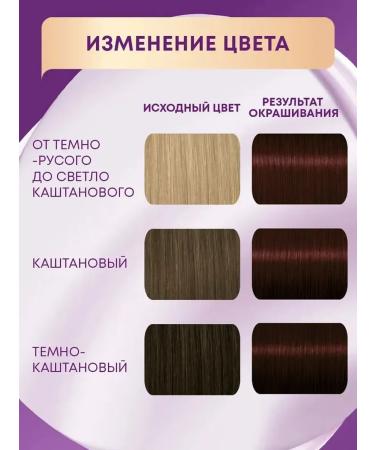 Schwarzkopf Professional Hair dye Palett tone R2 (3-68) red tree - Buy Online on GoSupps.com