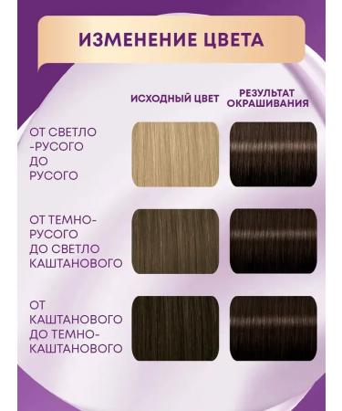 Schwarzkopf Professional Hair dye Palett tone N3 (4-0) chestnut - Buy Online on GoSupps.com