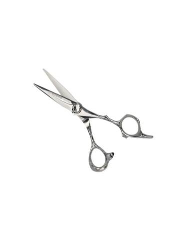 Kiepe Scissors for haircuts Professional 6.5 "inches - Buy Online on GoSupps.com