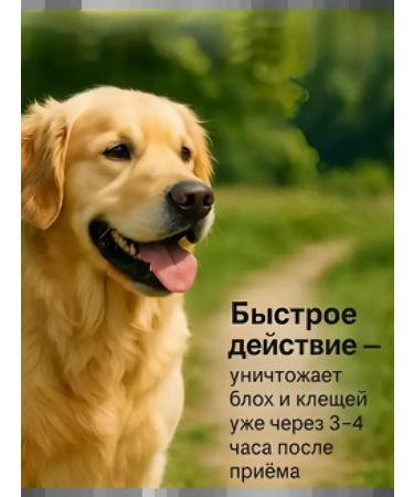 Zoetis Simparika 40 mg tick tablets and fleas for dogs 10-20 kg - Buy Online on GoSupps.com