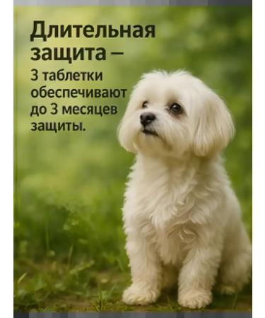 Zoetis Simparika 40 mg tick tablets and fleas for dogs 10-20 kg - Buy Online on GoSupps.com