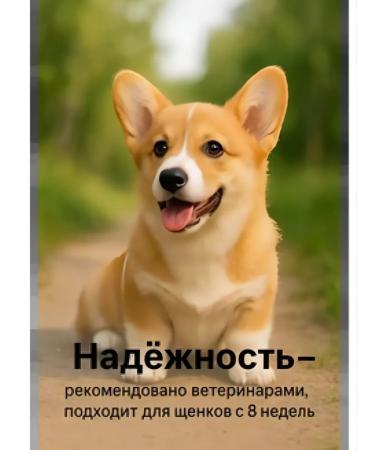 Zoetis Simparika 40 mg tick tablets and fleas for dogs 10-20 kg - Buy Online on GoSupps.com