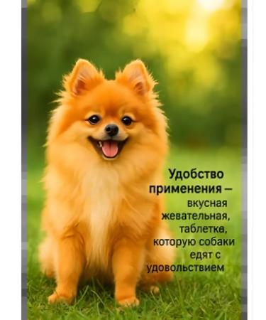 Zoetis Simeparika 80mg tick tablets and fleas for dogs 20-40kg - Buy Online on GoSupps.com