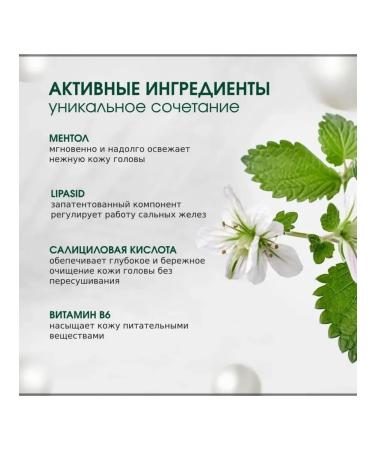 Kerastase Divalent Bain Balancing Shampoo for Oily Hair - Buy Online on GoSupps.com