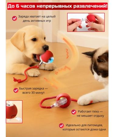 JeAdams Dog and cat shampoo - Buy Online on GoSupps.com