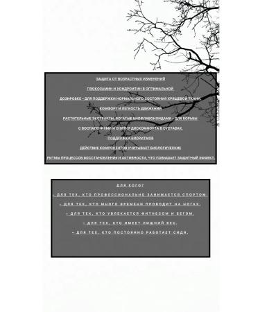 Chronobiological joint protection Synchroval VI - Buy Online on GoSupps.com