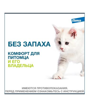 Elanco Foretest collar from ticks and fleas for cats 38 cm - Buy Online on GoSupps.com