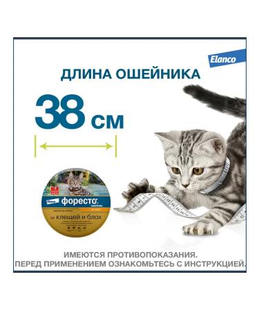 Elanco Foretest collar from ticks and fleas for cats 38 cm - Buy Online on GoSupps.com