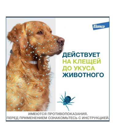 Elanco Forethrheast collapse from ticks and fleas for dogs more than 8 kg 70 cm - Buy Online on GoSupps.com