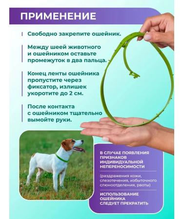 VEDA Avanpost BIO collar from ticks fleas mosquitoes for dogs 65cm - Buy Online on GoSupps.com