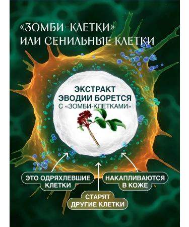 She is Different Facial serum peptide rejuvenating Etern - Buy Online on GoSupps.com