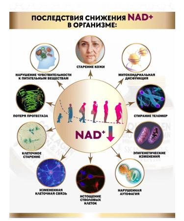 Energy Bio Systems Dietary supplement for food sea collagen biotin and NMN 120 capsules - Buy Online on GoSupps.com