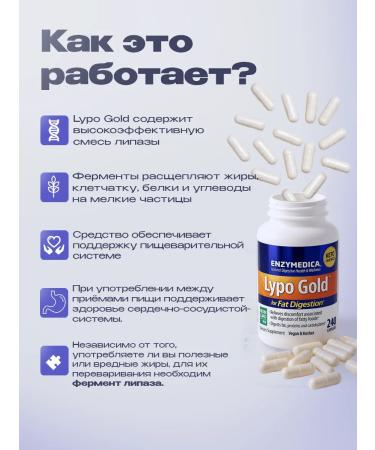 enzymedica Lypo Gold Fat splitting enzyme 240 capsules - Buy Online on GoSupps.com