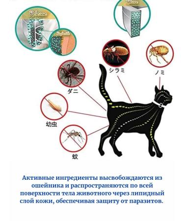 Ellanur Flea and ticks collar for a cat - Buy Online on GoSupps.com