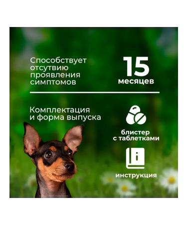 Boehringer Ingelheim Detmyedine tablets S 1.25 mg 100Tab